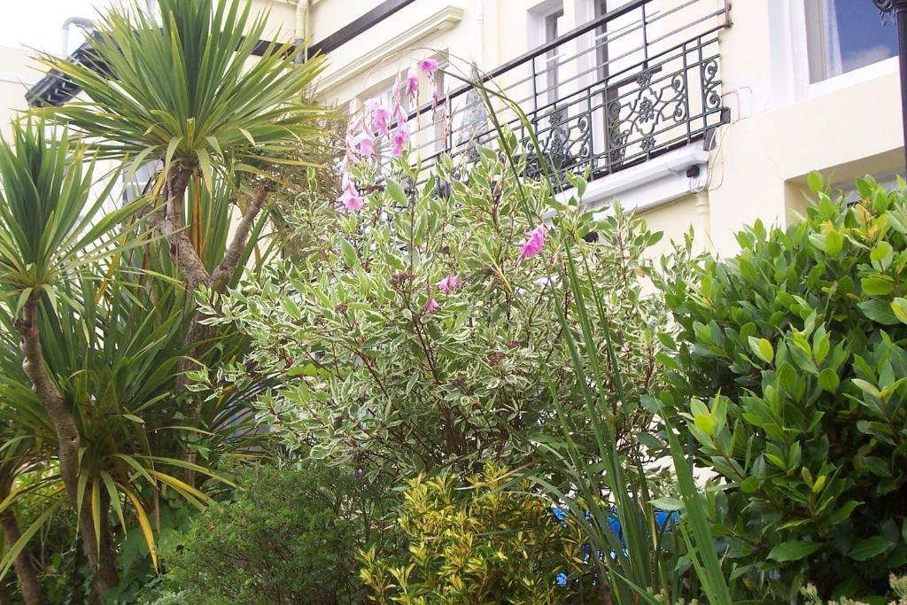 Ashwood Grange Bed & Breakfast Torquay Eksteriør bilde